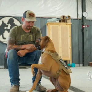 Project Kenny Documentary Wins Top Prize at NY Dog Film Festival in Honor of Veteran’s Day