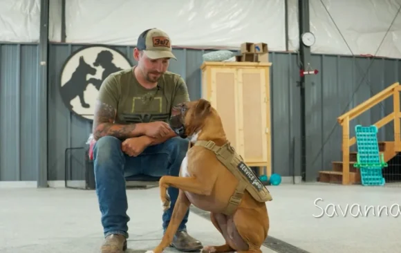 Project Kenny Documentary Wins Top Prize at NY Dog Film Festival in Honor of Veteran’s Day